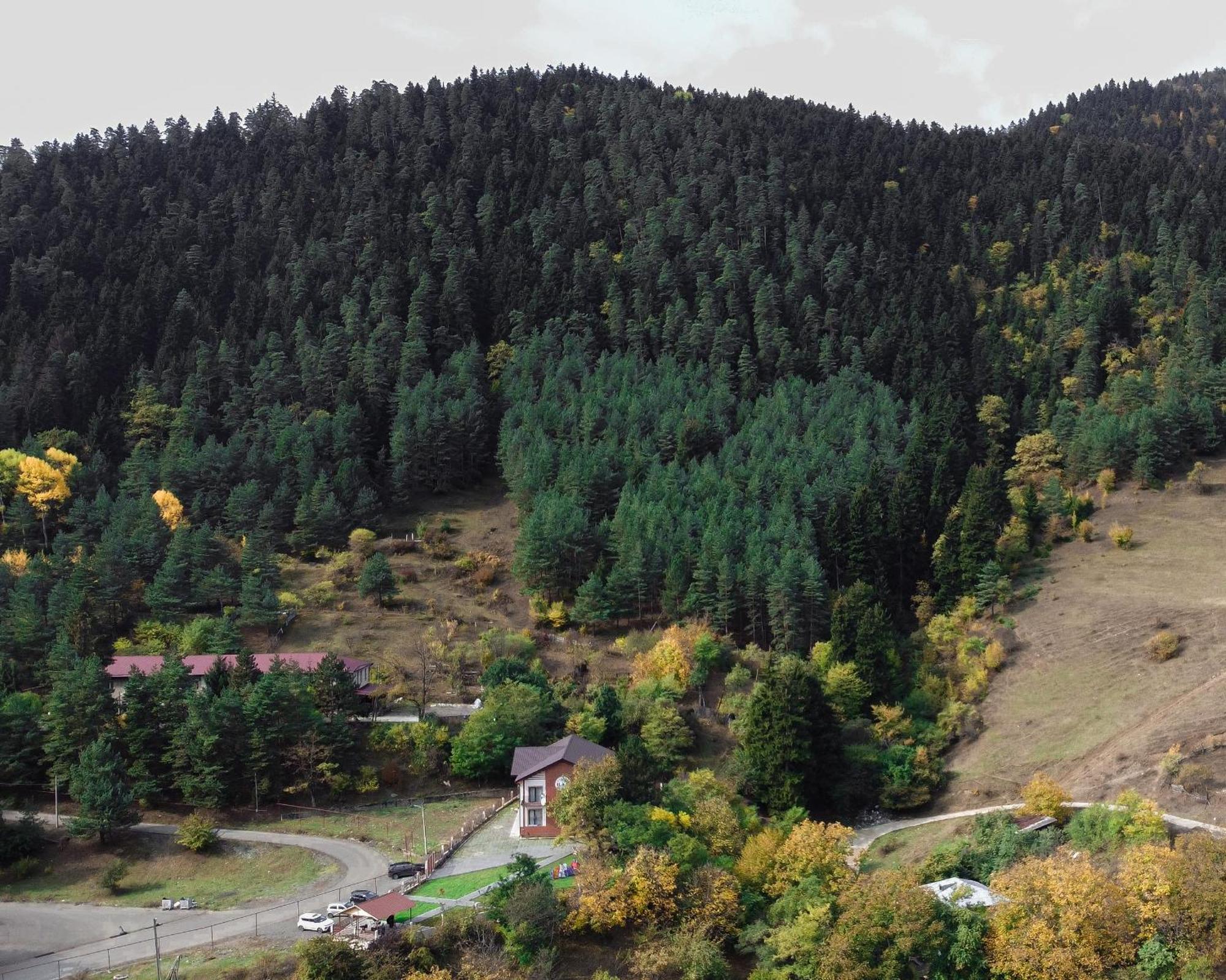 Holiday Borjomi Qvibisi Exterior photo