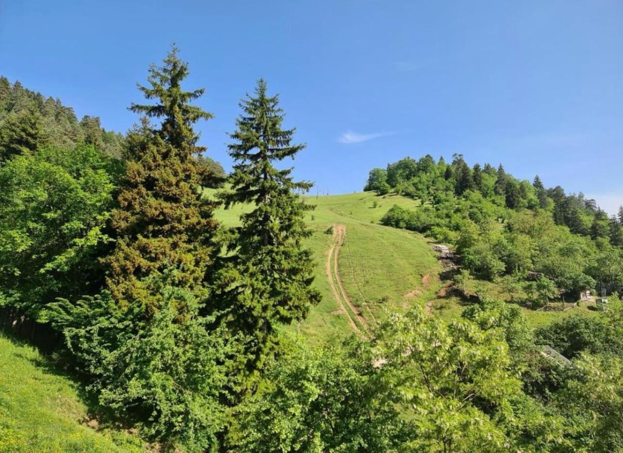 Holiday Borjomi Qvibisi Exterior photo