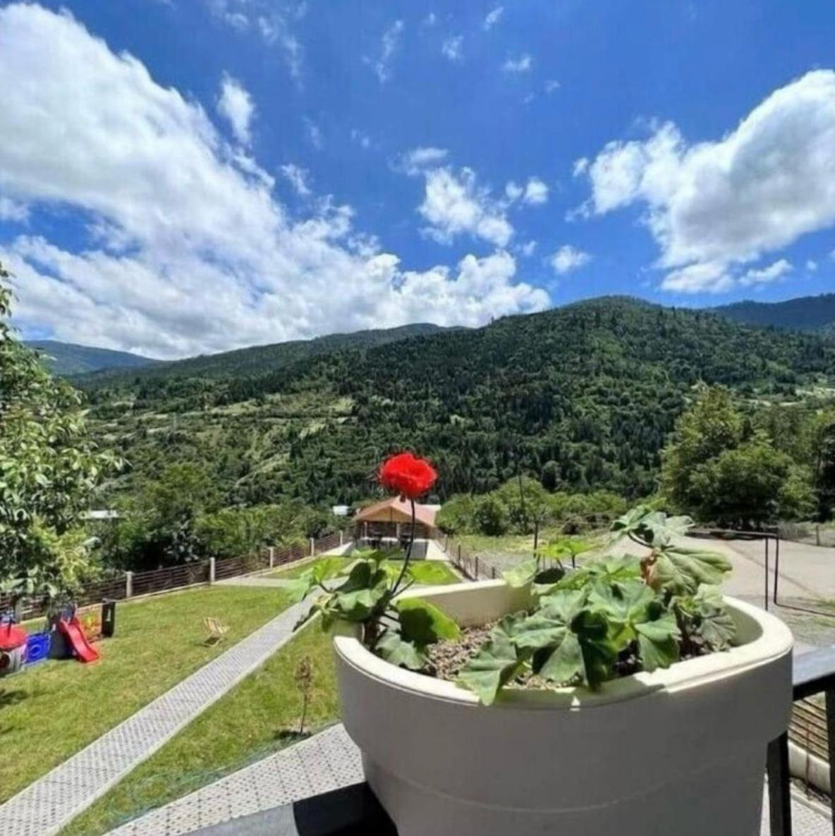 Holiday Borjomi Qvibisi Exterior photo