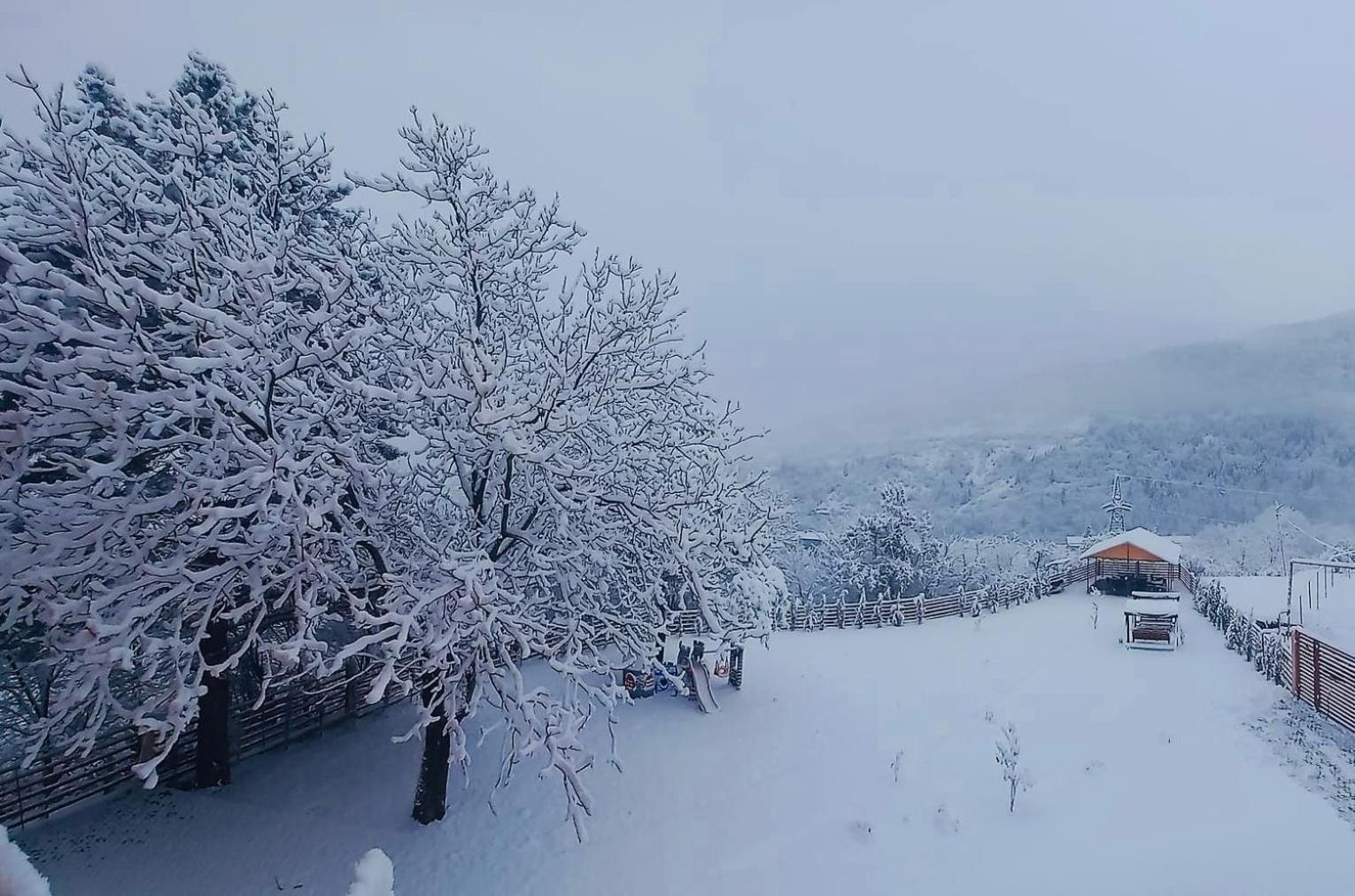 Holiday Borjomi Qvibisi Exterior photo