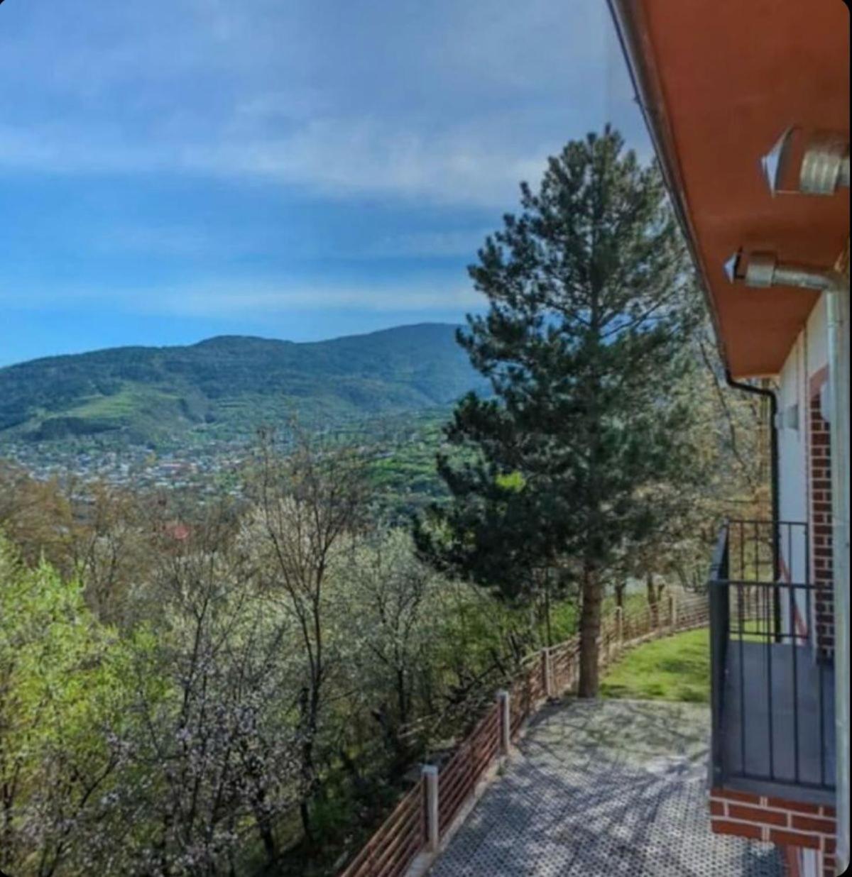 Holiday Borjomi Qvibisi Exterior photo