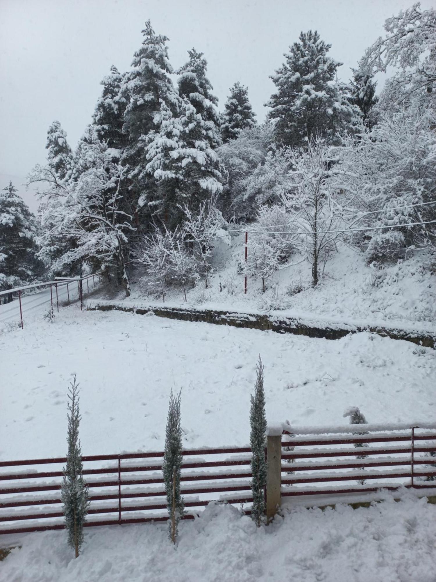 Holiday Borjomi Qvibisi Exterior photo