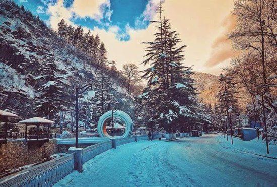 Holiday Borjomi Qvibisi Exterior photo